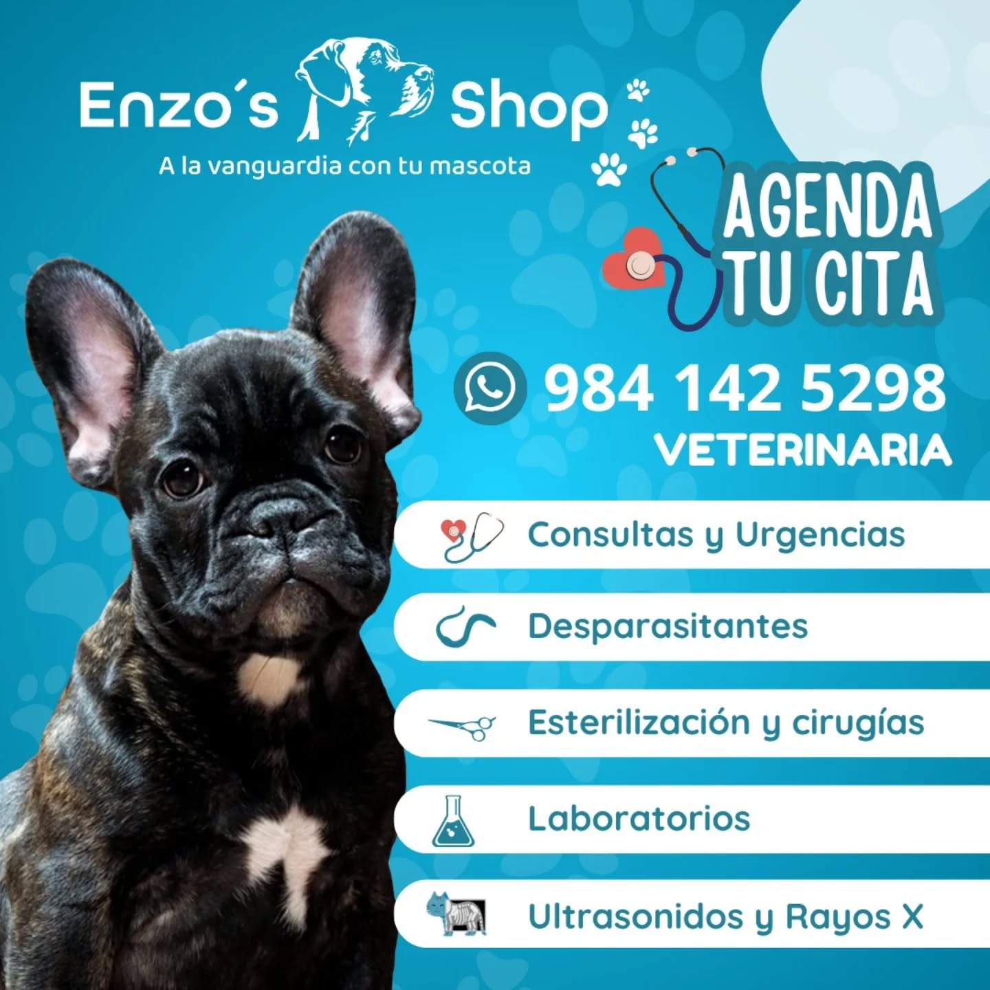 Portada Enzo’s Shop